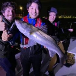 シーマジカル 釣果