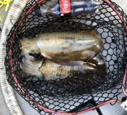 白墨丸 釣果