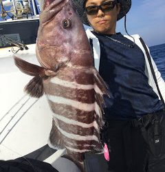 凪紗丸 釣果