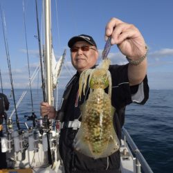 まるいち丸 ZERO-1 釣果