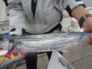 兼六丸 釣果