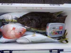 兼六丸 釣果