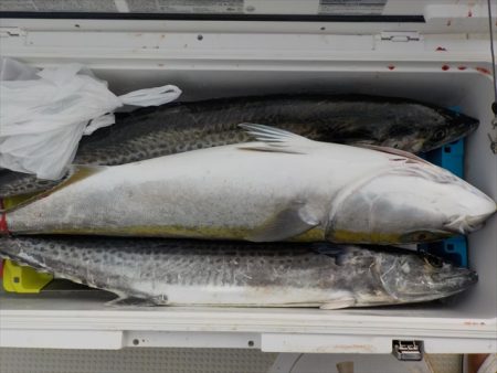 HARUKA丸 はるかまる 釣果