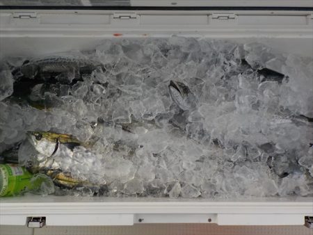 HARUKA丸 はるかまる 釣果