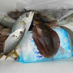 こかわ渡船　雅丸 釣果