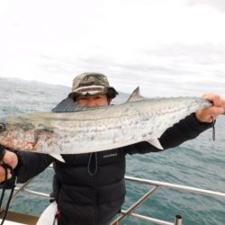 ジギング船 BLUEWATER 釣果