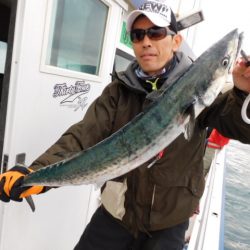 ジギング船 BLUEWATER 釣果