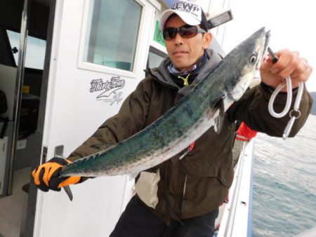 ジギング船 BLUEWATER 釣果