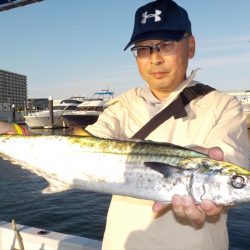 ＨＡＲＵＫＡ丸　はるかまる 釣果