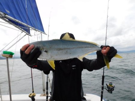 ジギング船 BLUEWATER 釣果