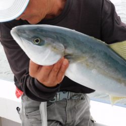 ジギング船 BLUEWATER 釣果