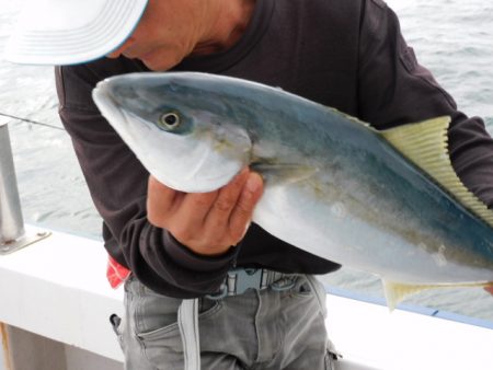 ジギング船 BLUEWATER 釣果