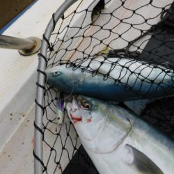 ジギング船 BLUEWATER 釣果