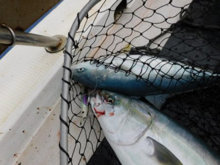 ジギング船 BLUEWATER 釣果