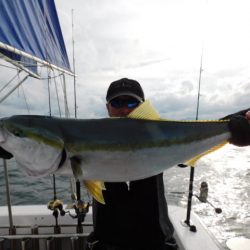 ジギング船 BLUEWATER 釣果