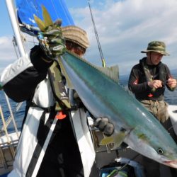 ジギング船 BLUEWATER 釣果