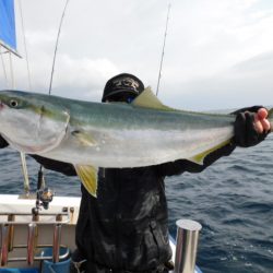 ジギング船 BLUEWATER 釣果