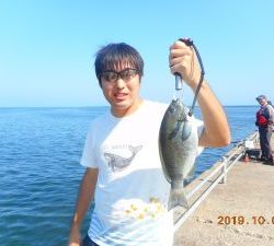 鹿島港魚釣園 釣果