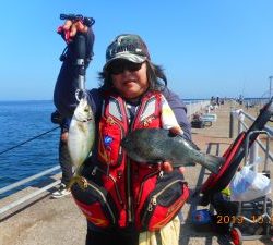 鹿島港魚釣園 釣果
