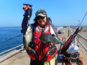 鹿島港魚釣園 釣果