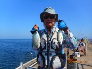 鹿島港魚釣園 釣果