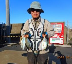 鹿島港魚釣園 釣果