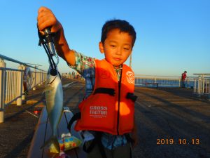 鹿島港魚釣園 釣果