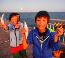 鹿島港魚釣園 釣果