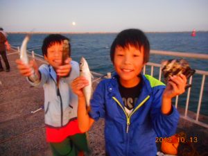 鹿島港魚釣園 釣果