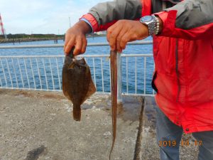 鹿島港魚釣園 釣果