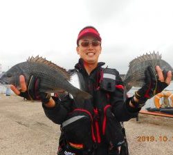 鹿島港魚釣園 釣果