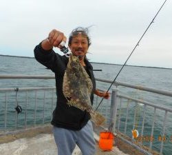 鹿島港魚釣園 釣果