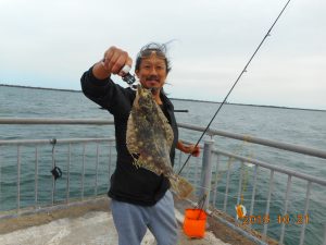 鹿島港魚釣園 釣果