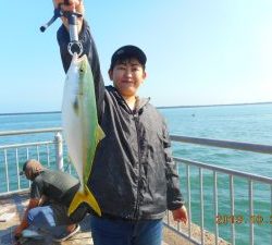 鹿島港魚釣園 釣果