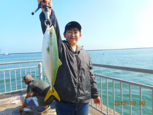 鹿島港魚釣園 釣果