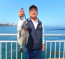 鹿島港魚釣園 釣果
