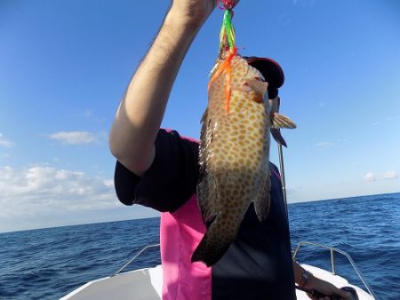 フィッシングボート空風(そらかぜ) 釣果