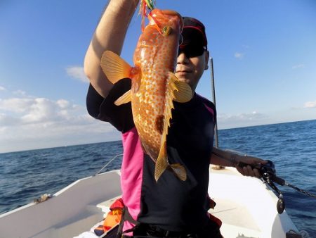 フィッシングボート空風(そらかぜ) 釣果