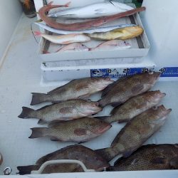 フィッシングボート空風(そらかぜ) 釣果