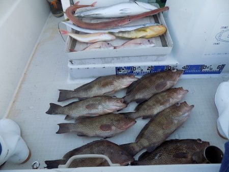 フィッシングボート空風(そらかぜ) 釣果