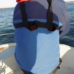 フィッシングボート空風(そらかぜ) 釣果