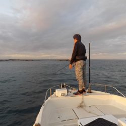 フィッシングボート空風(そらかぜ) 釣果