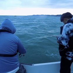 フィッシングボート空風(そらかぜ) 釣果