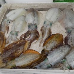 フィッシングボート空風(そらかぜ) 釣果