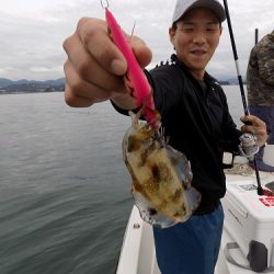 フィッシングボート空風(そらかぜ) 釣果