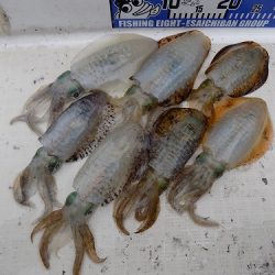 フィッシングボート空風(そらかぜ) 釣果