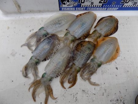 フィッシングボート空風(そらかぜ) 釣果