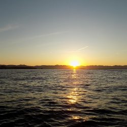 フィッシングボート空風(そらかぜ) 釣果