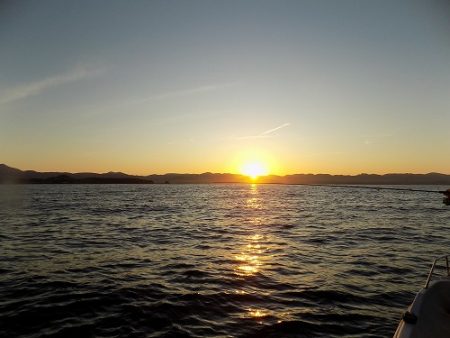 フィッシングボート空風(そらかぜ) 釣果