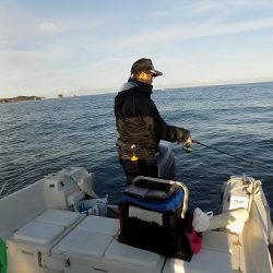 フィッシングボート空風(そらかぜ) 釣果